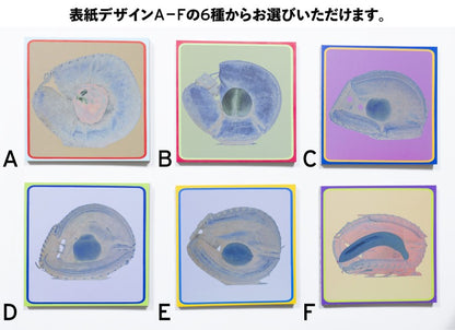 KYOTO INTERCHANGE「⾦⽒徹平 森千裕」展カタログ